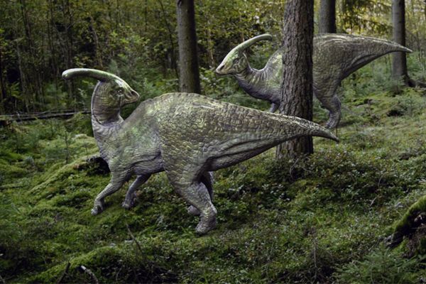  Parasaurolophus walkeri